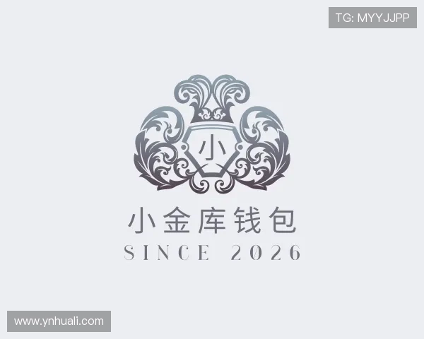 介绍小金库钱包官网